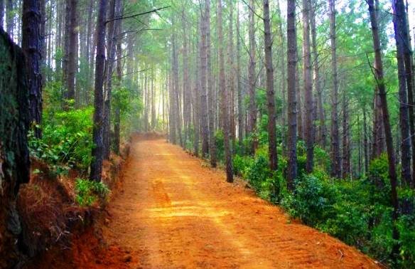 Parque Nacional Montecristo